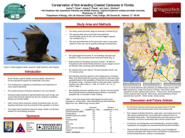 CBP`s Powerpoint template for scientific posters