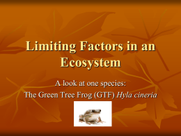 Limiting Factors Presentation