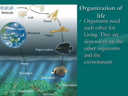 ecology - benanbiology