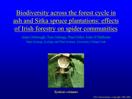 The effect of afforestation on the biodiversity of Irish spiders