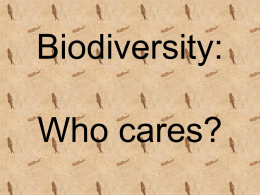 Biodiversity - St John Brebeuf