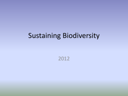 Sustaining Biodiversity