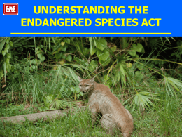 Biodiversity - Endangered Species Act Lecture Notes Page