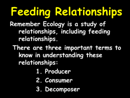 Feeding Relationships