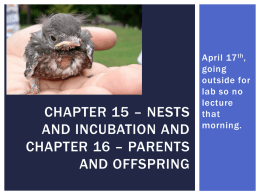 Chapter 15 – nests and incubation and chapter 16 – parents and