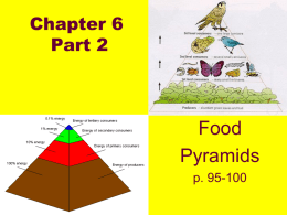 EnergyFlow&Pyramids,BiologicalAmplification