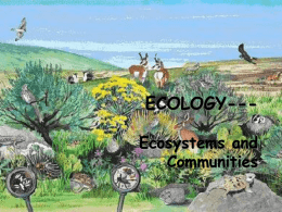 Ecosystem and Communities