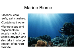 Marine Biome - Starflyr.com