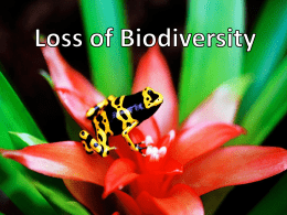 biodiversity 2 - Lisa Peck`s Environmental Studies Class