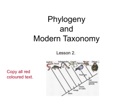 Lesson 2. Phylogeny and Modern Taxonomy - Blyth