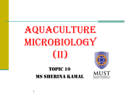 Aquaculture microbiology (II)
