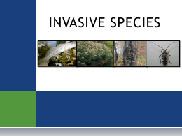 Invasive_Species_presentation[1]