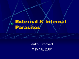 External & Internal Parasites
