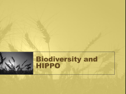 Biodiversity_and_HIPPO