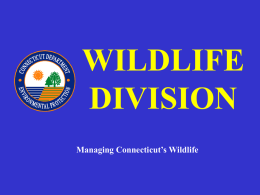 Wildlife_Management_by_DEP_2007
