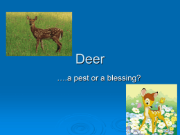 Deer - climate