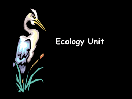 Ecology ppt - Madison County Schools