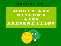 mogyy and ginger`s apes presentation