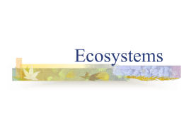 ecosystem - Teacher Pages