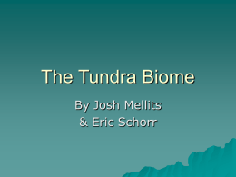 Tundra_000 - JBHA-Sci-US-tri1