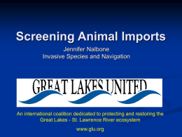 Screening Animal Imports