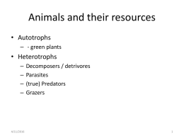 Animals and their resources