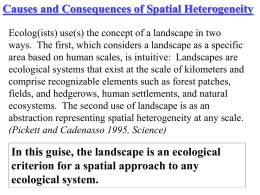 Causes and Consequences of Spatial Heterogeneity