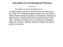Adorable And Endangered Pandas