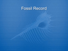 fossils