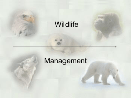 Describing Species Endangerment