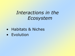 Ecosystem Interactions