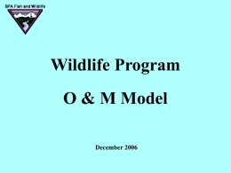 Wildlife Program