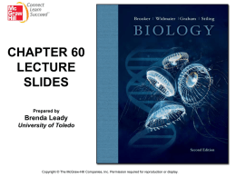 CHAPTER 60 LECTURE SLIDES Prepared by Brenda Leady