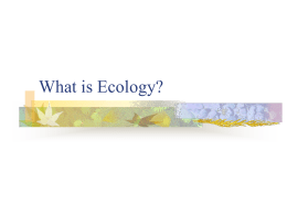 What is Ecology? - World of Teaching