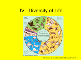 IV. Diversity of Life