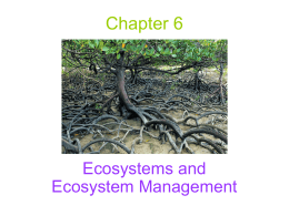lec_ppt_Ecosystems and Ecosystem Management
