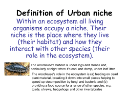 Definition of Urban niche
