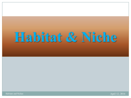 Habitat & Niches