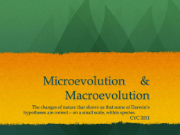 Microevolution_Macroevolution