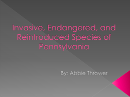 endangered species bio powerpoint