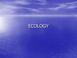 ecology - MrsStowSupport