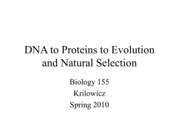 DNA to Proteins to Natural Selection - Cal State LA