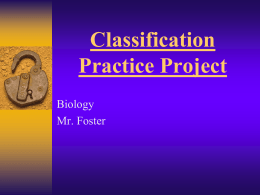 Classification Practice Project Biology Mr. Foster
