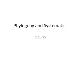 111070_Phylogeny.pptx