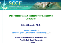 Macroalgae as an Indicator of Estuarine Condition
