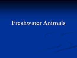 Freshwater Organisms