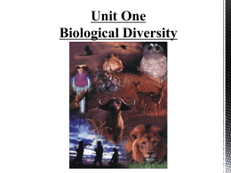 Biological Diversity looks at the variation within a