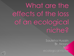What are the effects of the loss of an ecological niche?