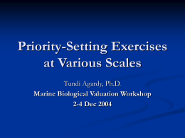 Priority-Setting Exercises at Various Scales