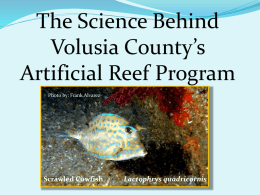 The Science of the artificial reef program